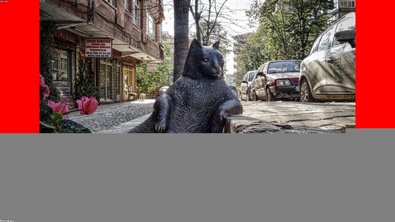 快喵VPN全球高速网络加速